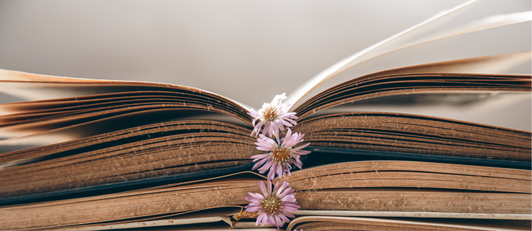 libros que pueden cambiar tu vida