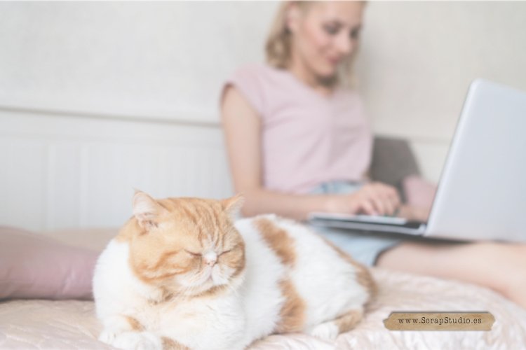 6 Consejos Sinceros Para Terminar Tus Tareas Más Fácilmente